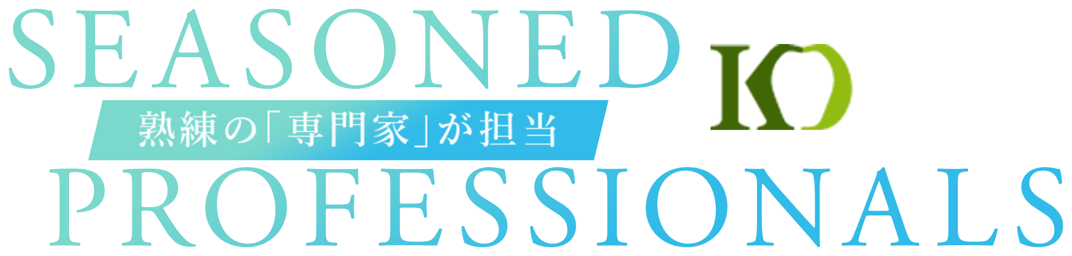 SEASONED  PROFESSIONALS