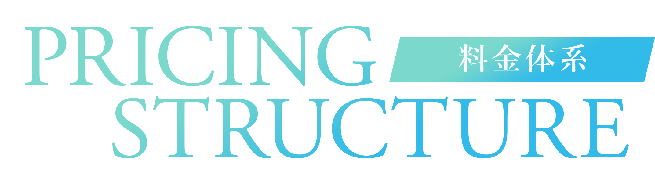 PRICING STRUCTURE 料金体系
